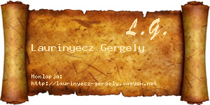 Laurinyecz Gergely névjegykártya